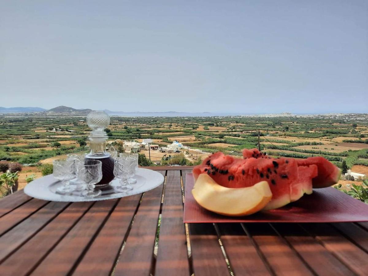 Janakos View Apartment With Private Pool Glinado Naxos Exterior foto