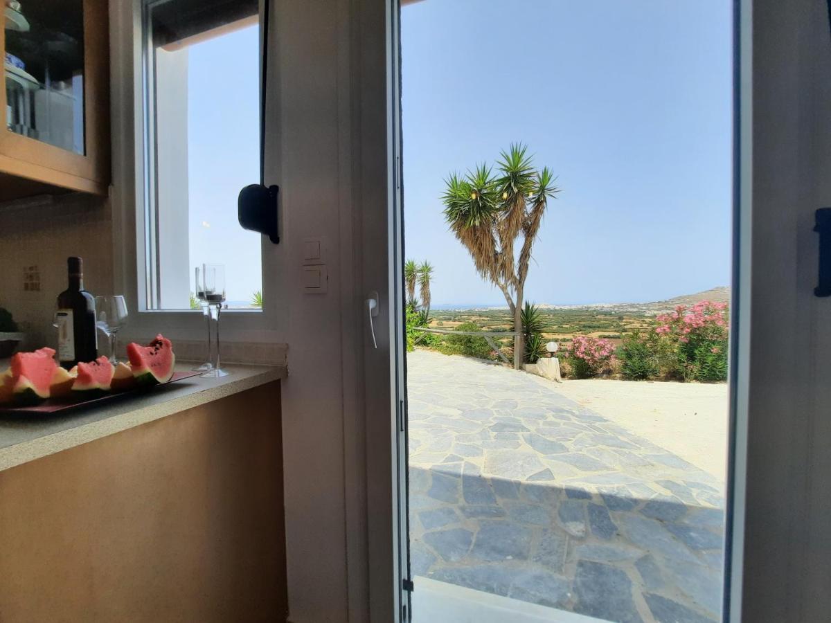 Janakos View Apartment With Private Pool Glinado Naxos Exterior foto