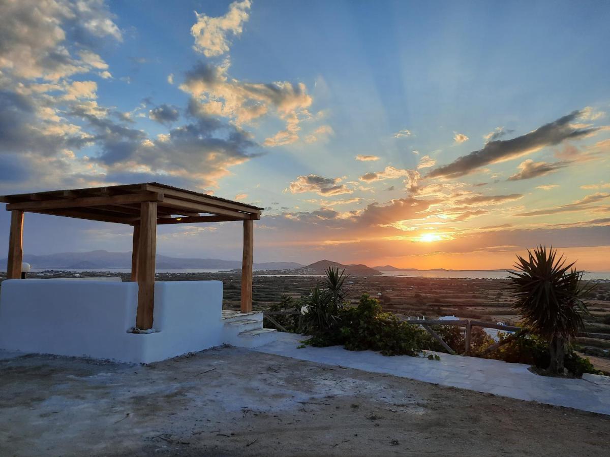 Janakos View Apartment With Private Pool Glinado Naxos Exterior foto