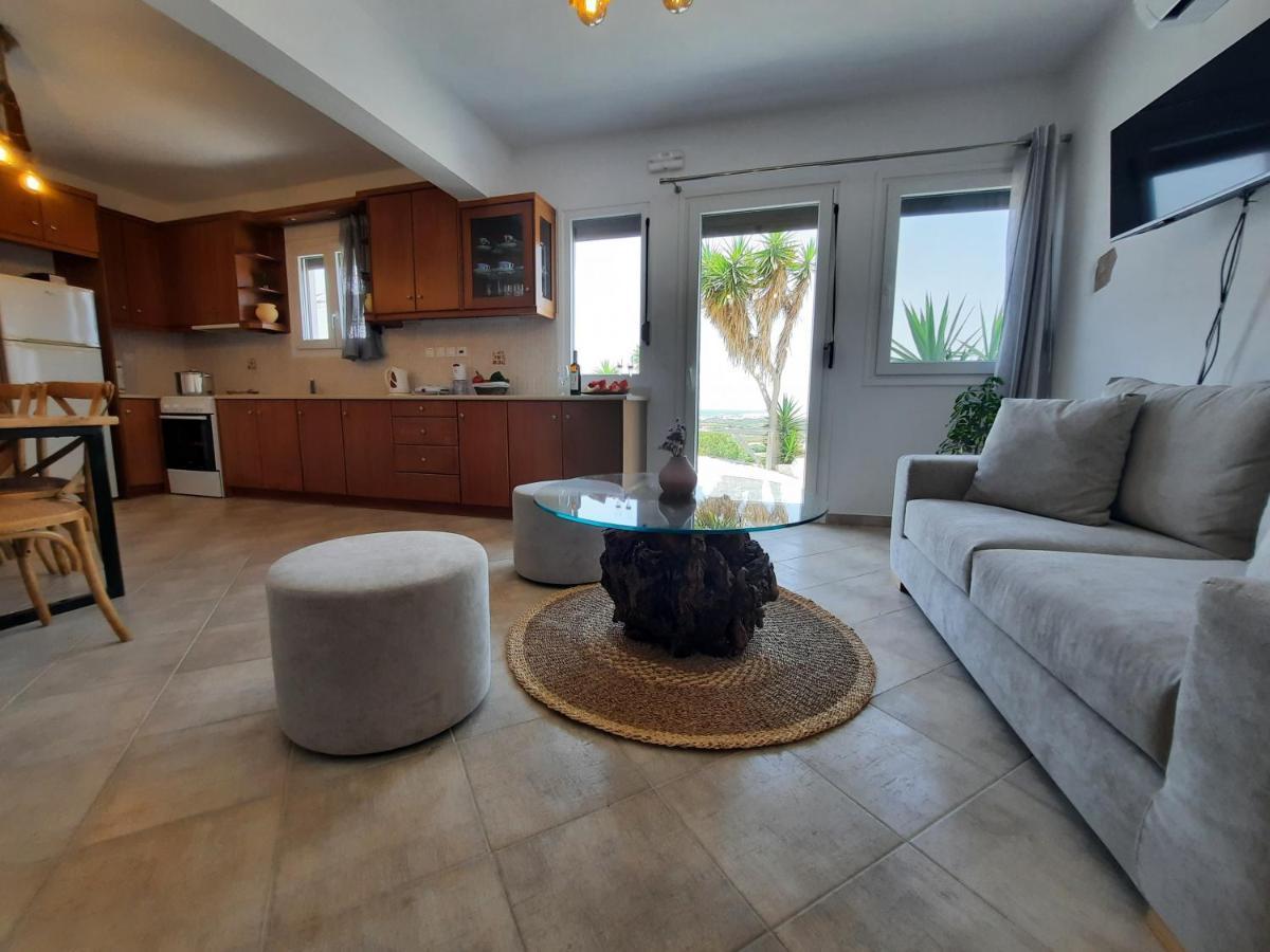 Janakos View Apartment With Private Pool Glinado Naxos Exterior foto