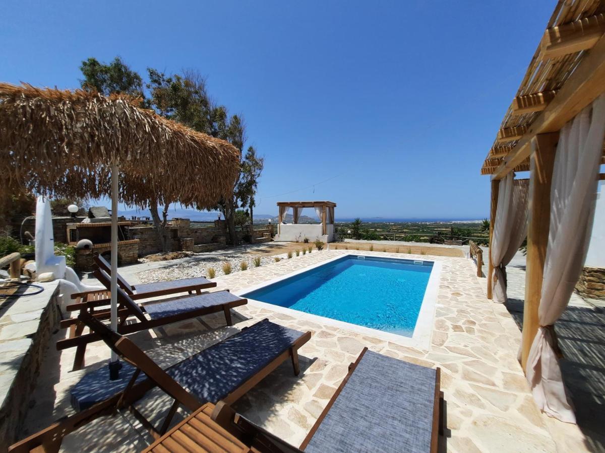 Janakos View Apartment With Private Pool Glinado Naxos Exterior foto