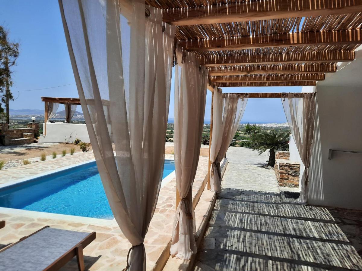 Janakos View Apartment With Private Pool Glinado Naxos Exterior foto
