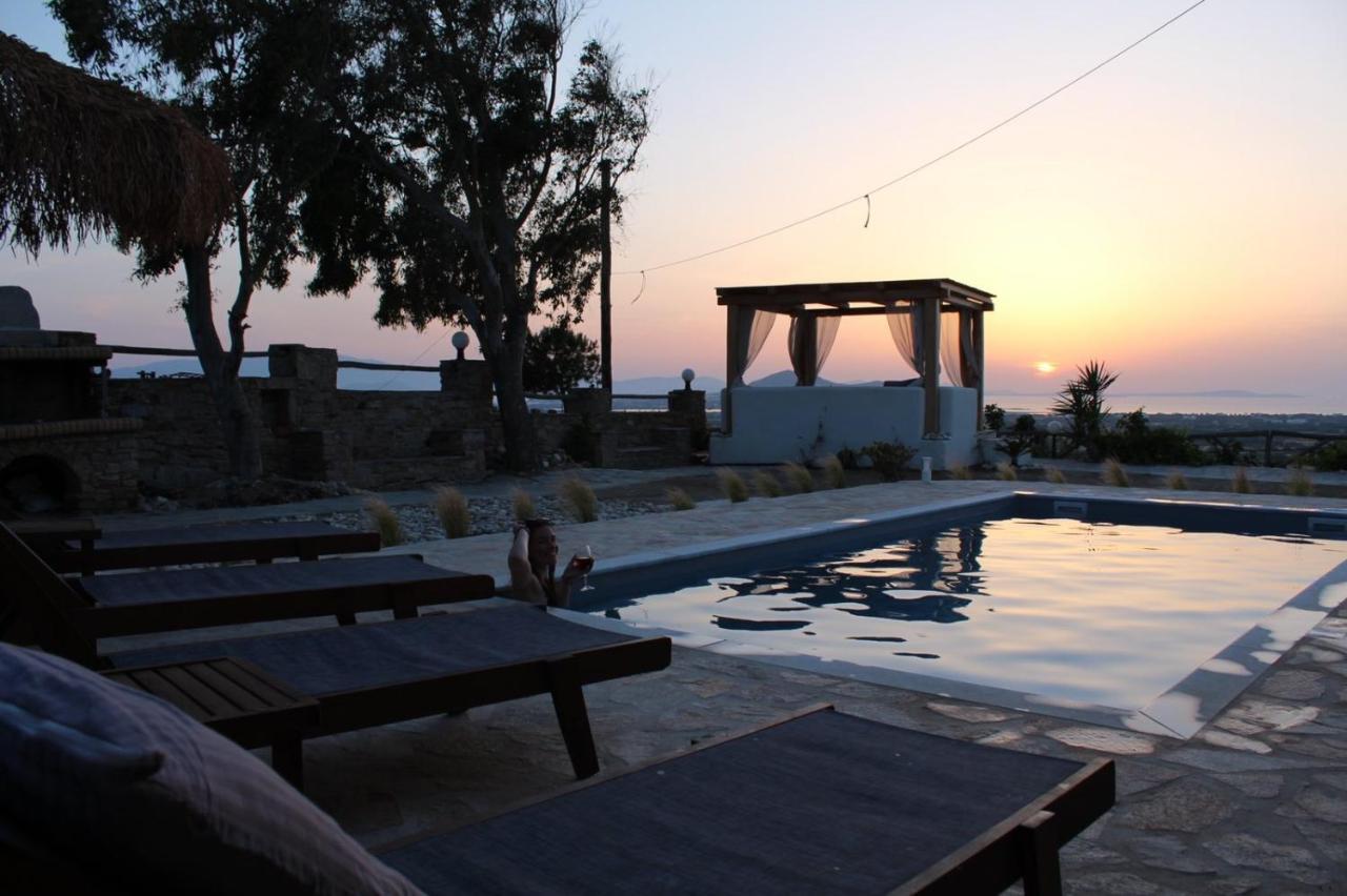 Janakos View Apartment With Private Pool Glinado Naxos Exterior foto