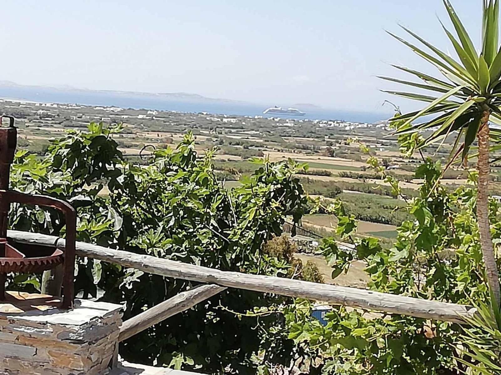 Janakos View Apartment With Private Pool Glinado Naxos Exterior foto
